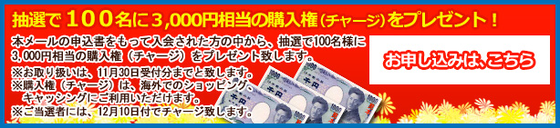 抽選で100名に、3000円相当の購入権（チャージ）をプレゼント