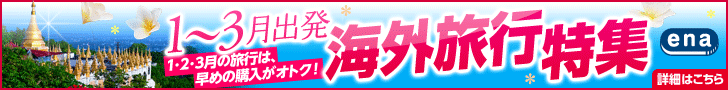 海外格安航空券ena 【イーナドットトラベル】