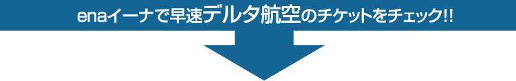 ena�C�[�i�ő����f���^�q��̃`�P�b�g���`�F�b�N�I�I