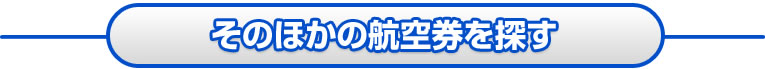 そのほかの航空券を探す
