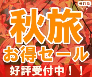 海外格安航空券ena(イーナ)