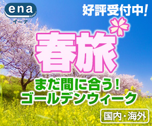 海外格安航空券ena(イーナ)