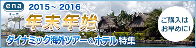 海外格安航空券ena(イーナ)