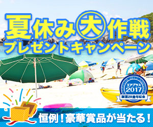 海外格安航空券ena(イーナ)