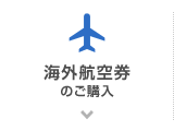 海外航空券のご購入