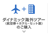 ダイナミック海外ツアー（航空券＋ホテル・セット割）のご購入