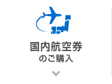 国内航空券のご購入