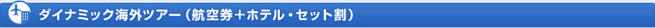 ダイナミック海外ツアー（航空券＋ホテル・セット割）