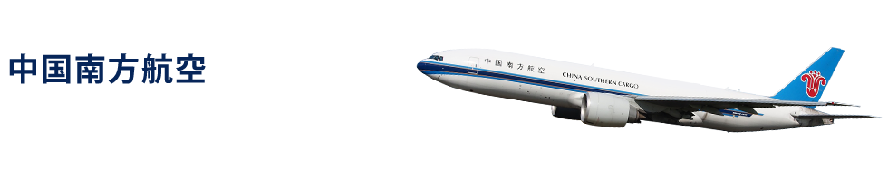 中国南方航空の海外航空券予約ならena(イーナ)で