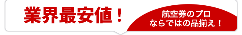 業界最安値！航空券のプロならではの品揃え！
