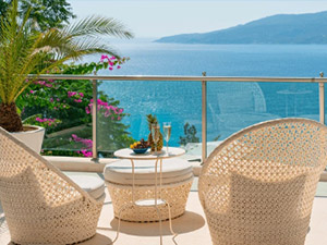 オーシャンビュー