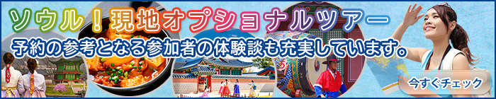 ソウル！現地オプショナルツアー