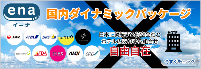 国内ダイナミックパッケージ