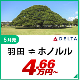 航空券