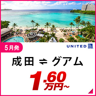 航空券