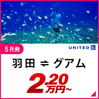 航空券