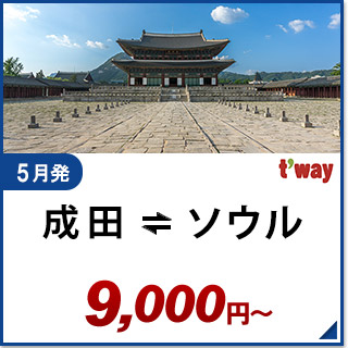 航空券