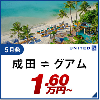 航空券