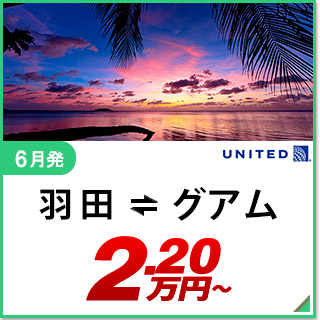航空券
