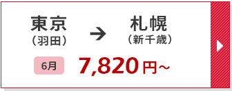 航空券