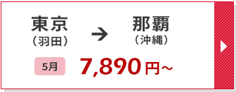 航空券