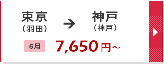 航空券