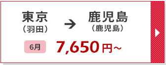 航空券