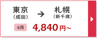 航空券
