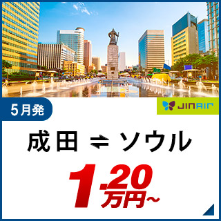 航空券