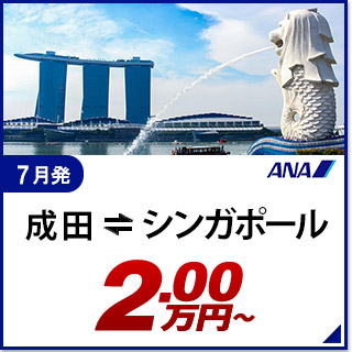 航空券