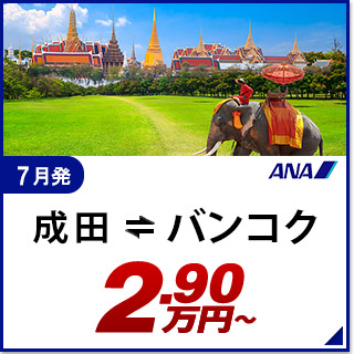 航空券
