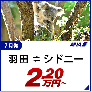 航空券