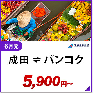 航空券