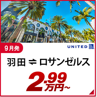 航空券