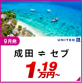 航空券