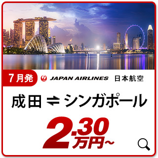 航空券