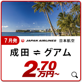 航空券