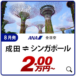 航空券
