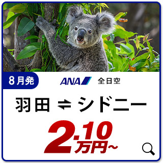 航空券