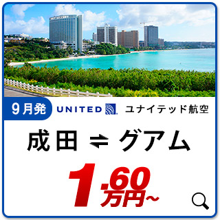航空券