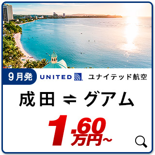 航空券
