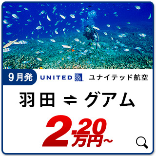 航空券
