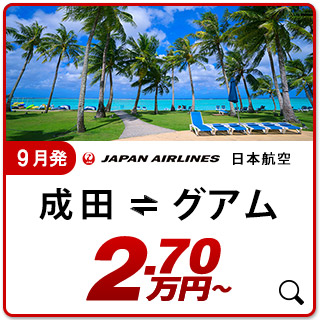 航空券