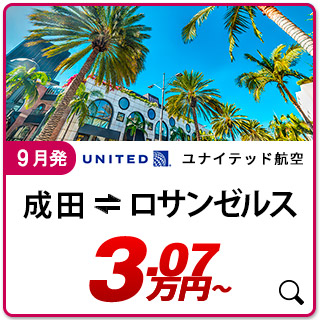 航空券