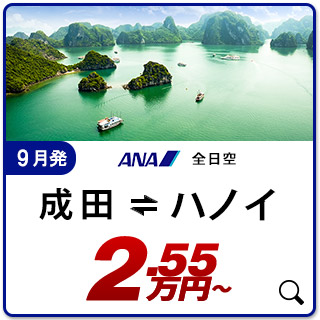 航空券