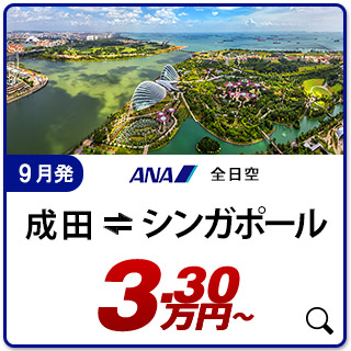 航空券