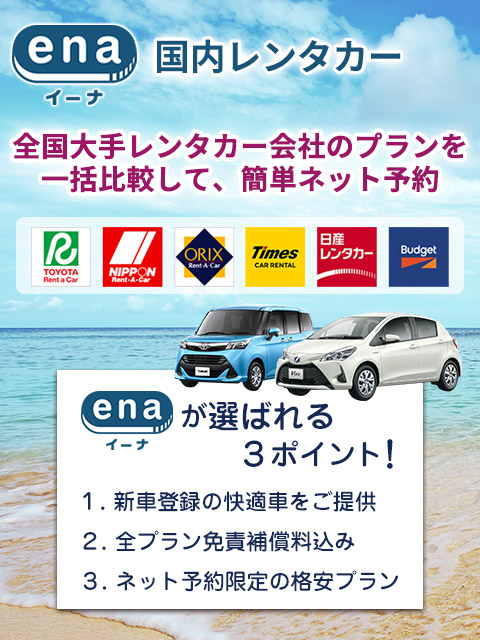 国内レンタカー