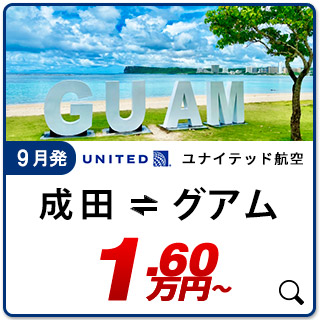 航空券