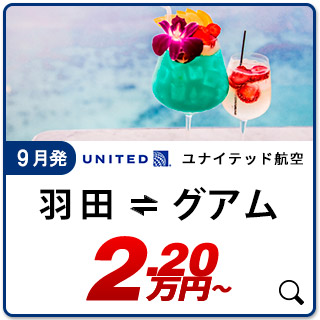 航空券
