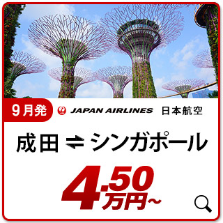 航空券